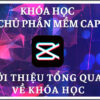 lam chu capcut